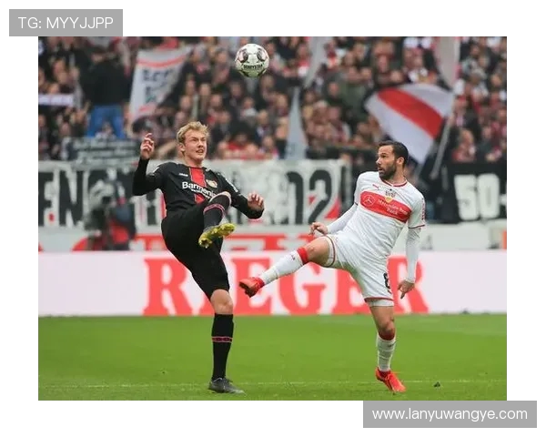 2018–2019赛季德甲全部球队回顾