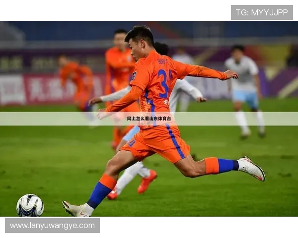 西甲直播豹频道赛事覆盖及直播质量分析